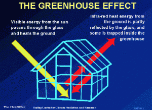 The Greenhouse Effect: How windows trap heat inside your home. diagram of greenhouse with sun rays entering and radiant heat rays trapped inside.